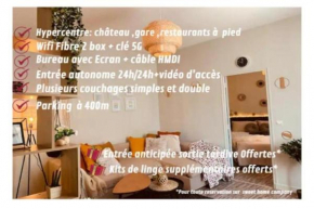 Charme de Loire Hypercentre Blois à 5 min Château